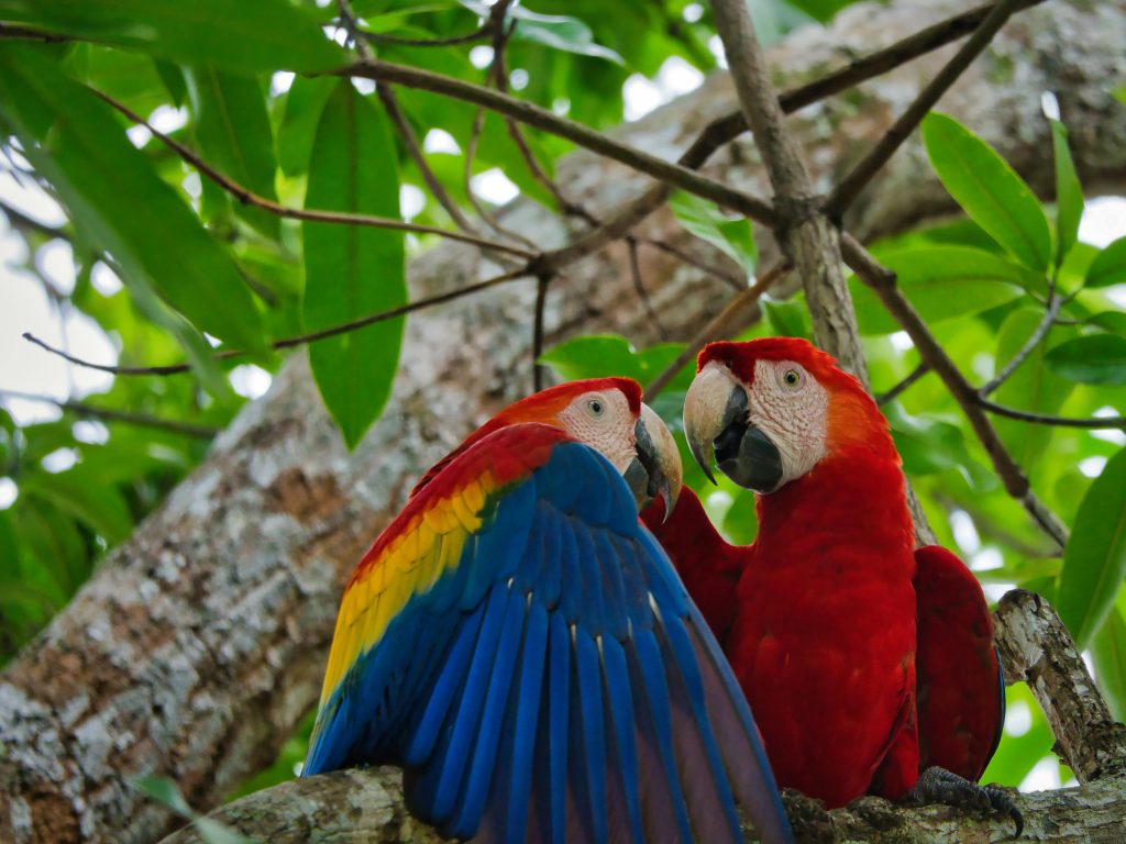 Costa Rica